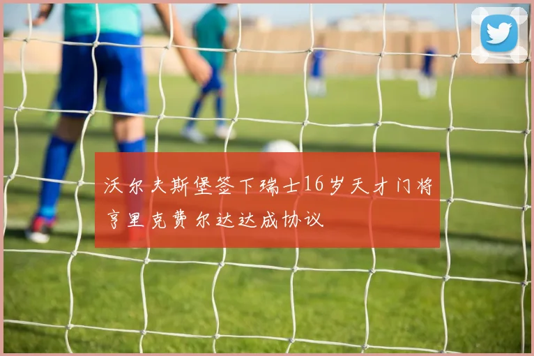 沃尔夫斯堡签下瑞士16岁天才门将亨里克费尔达达成协议