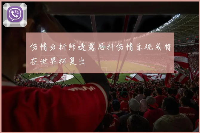 伤情分析师透露尼科伤情乐观或将在世界杯复出
