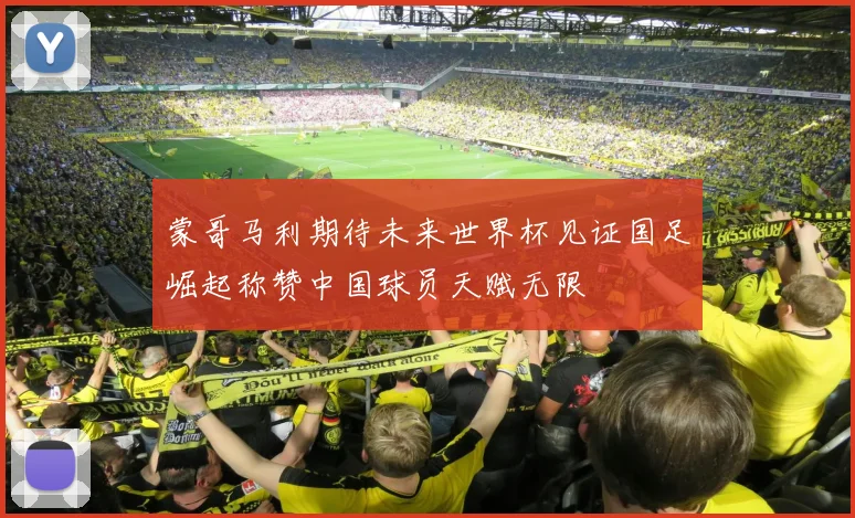 蒙哥马利期待未来世界杯见证国足崛起称赞中国球员天赋无限